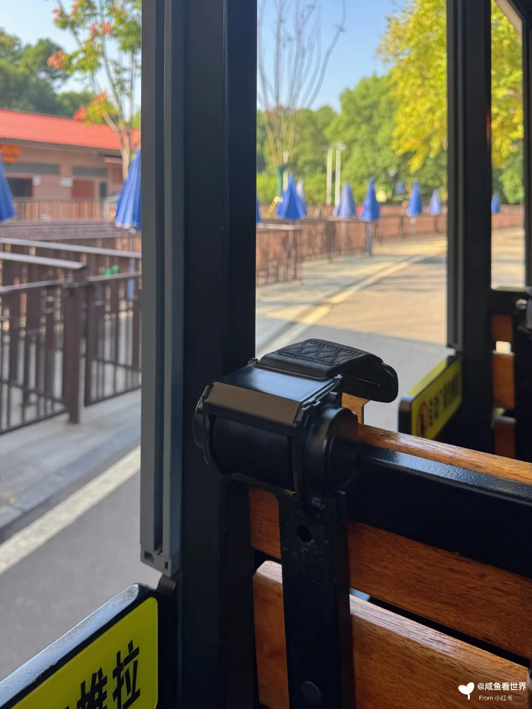 📍橘子洲｜长沙文化名片🍊