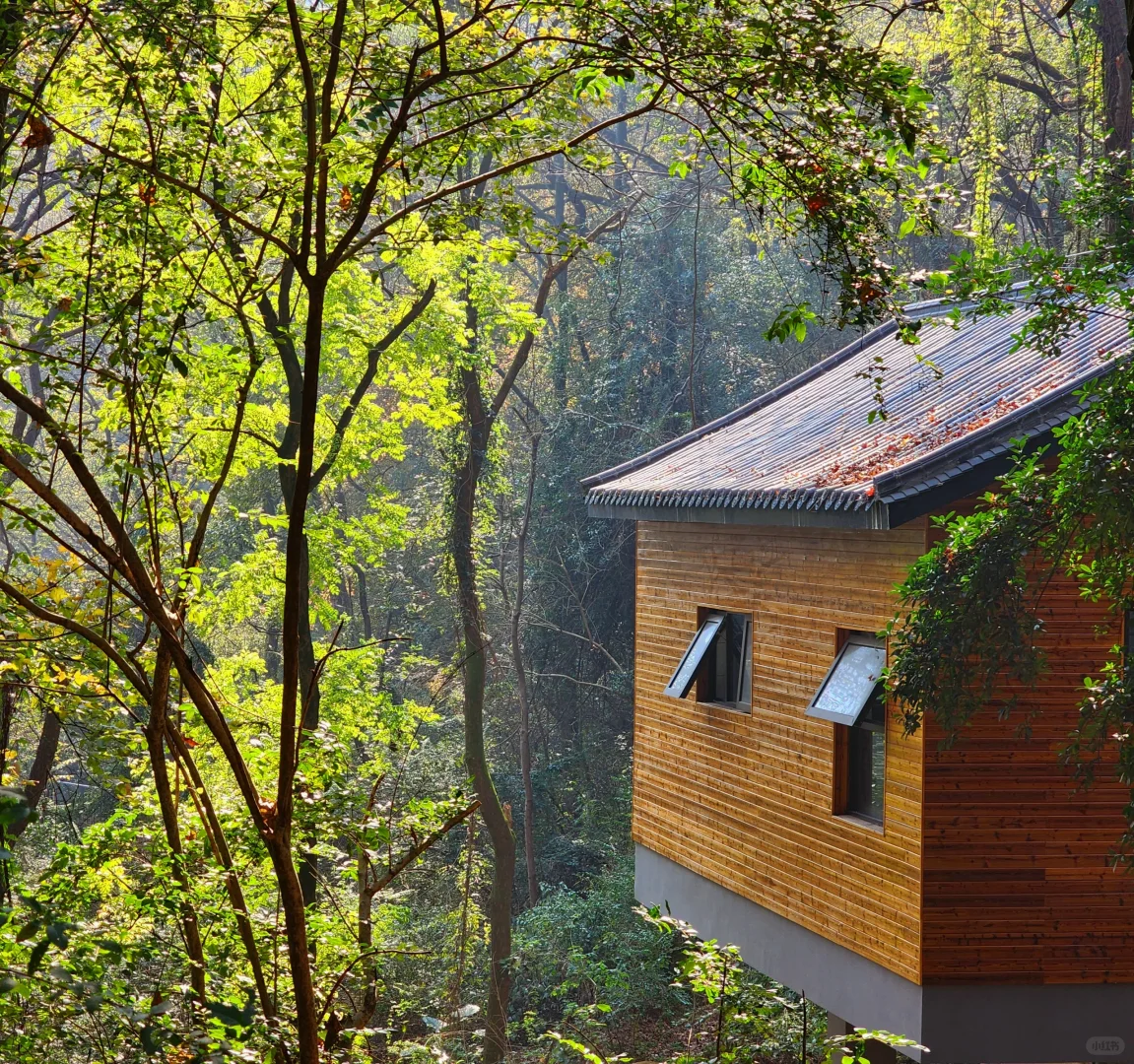 岳麓山｜枫叶季来了！来看长沙的秋日油画