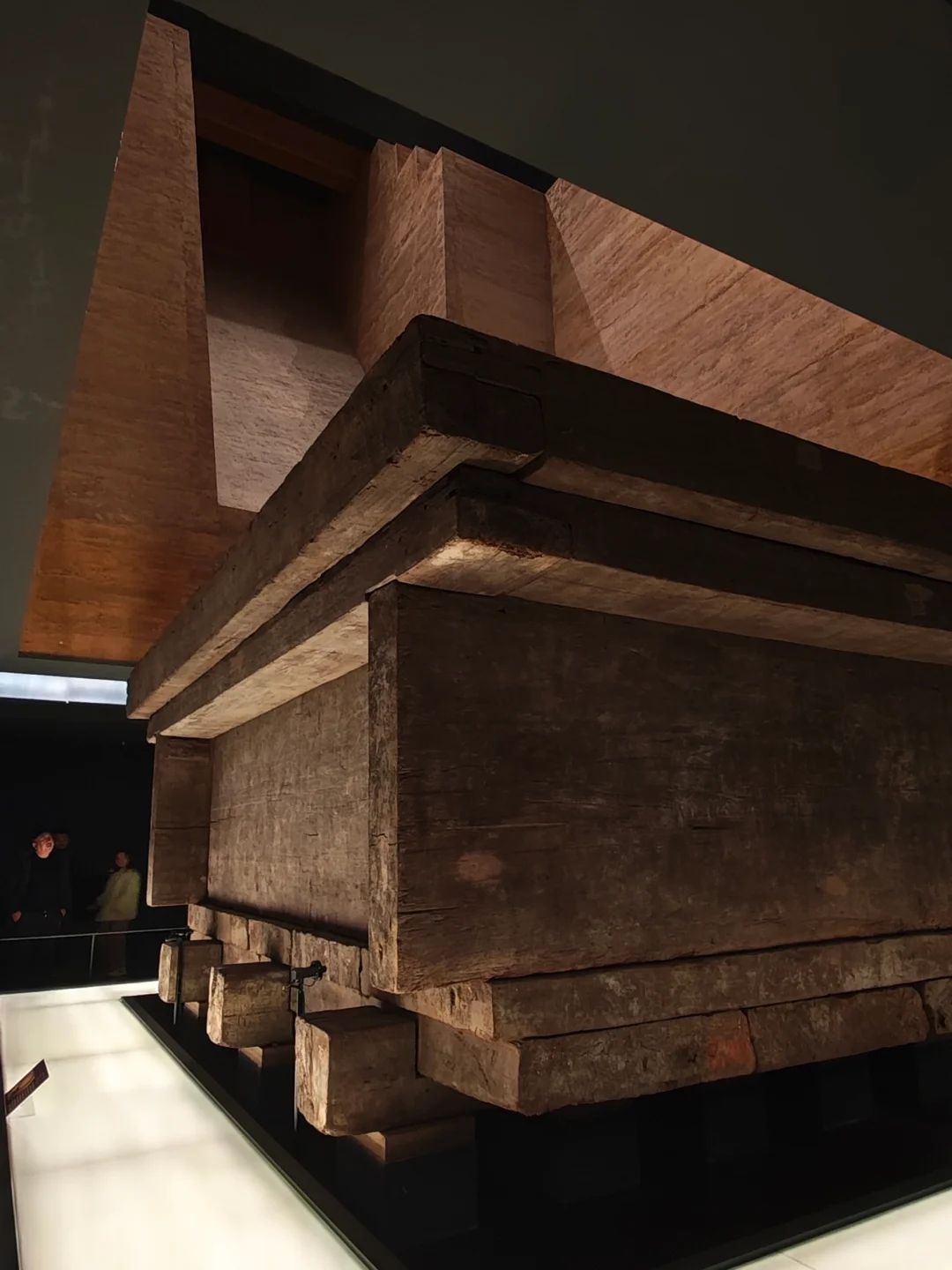 忍着恐惧还是去看了一眼辛追夫人‼️㊙️