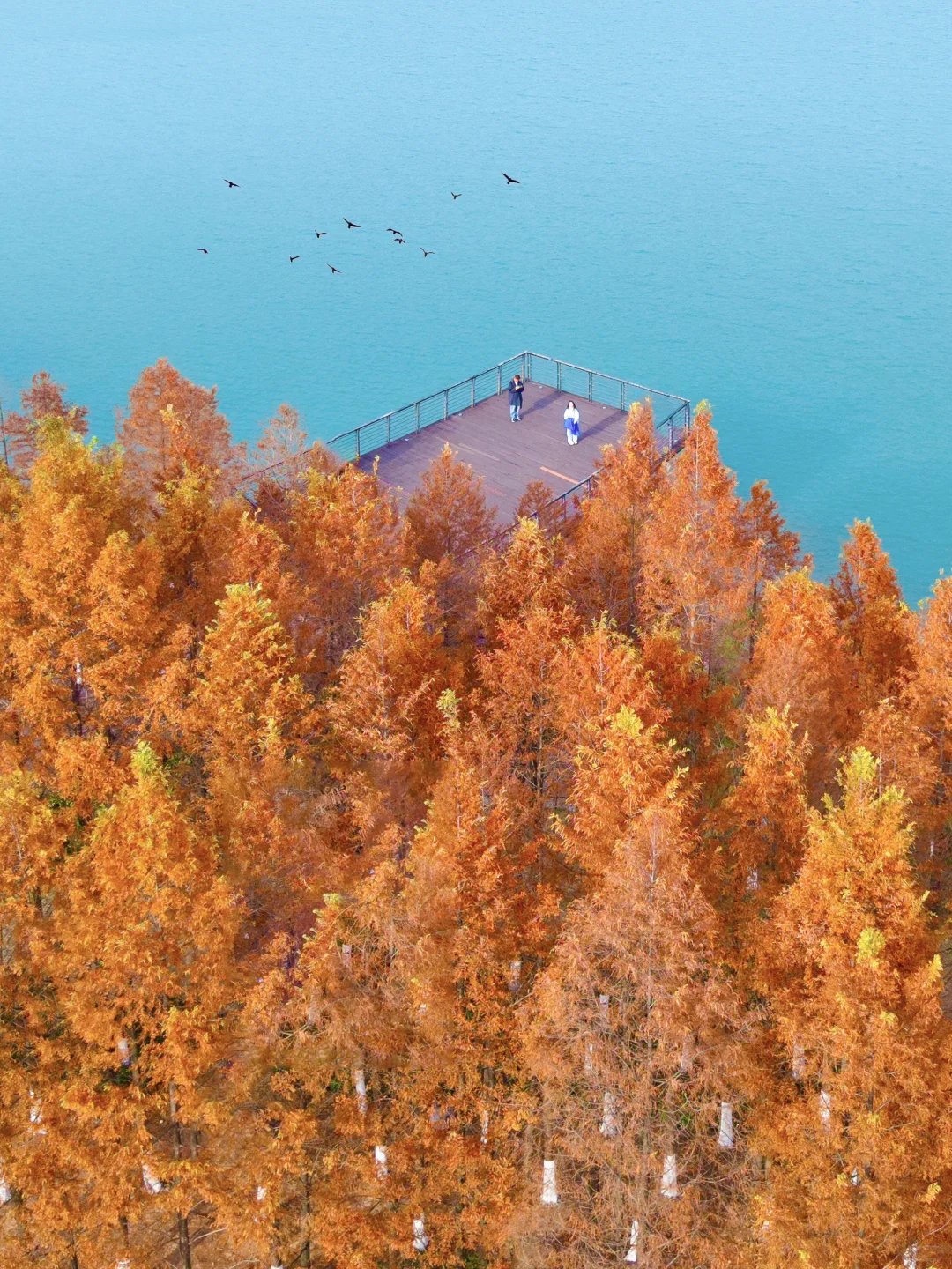 接下来的长沙🍂将迎来属于它的秋日高光时刻