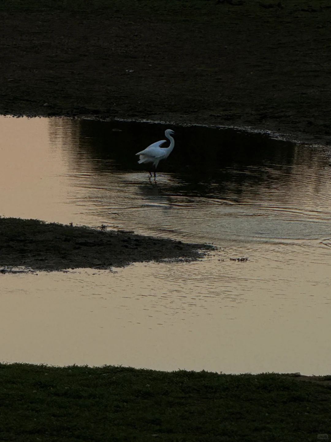 长沙阿勒泰，你藏得好深……