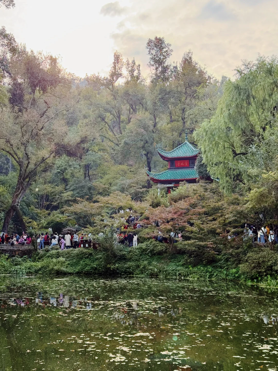 今天的岳麓山爱晚亭人山人海