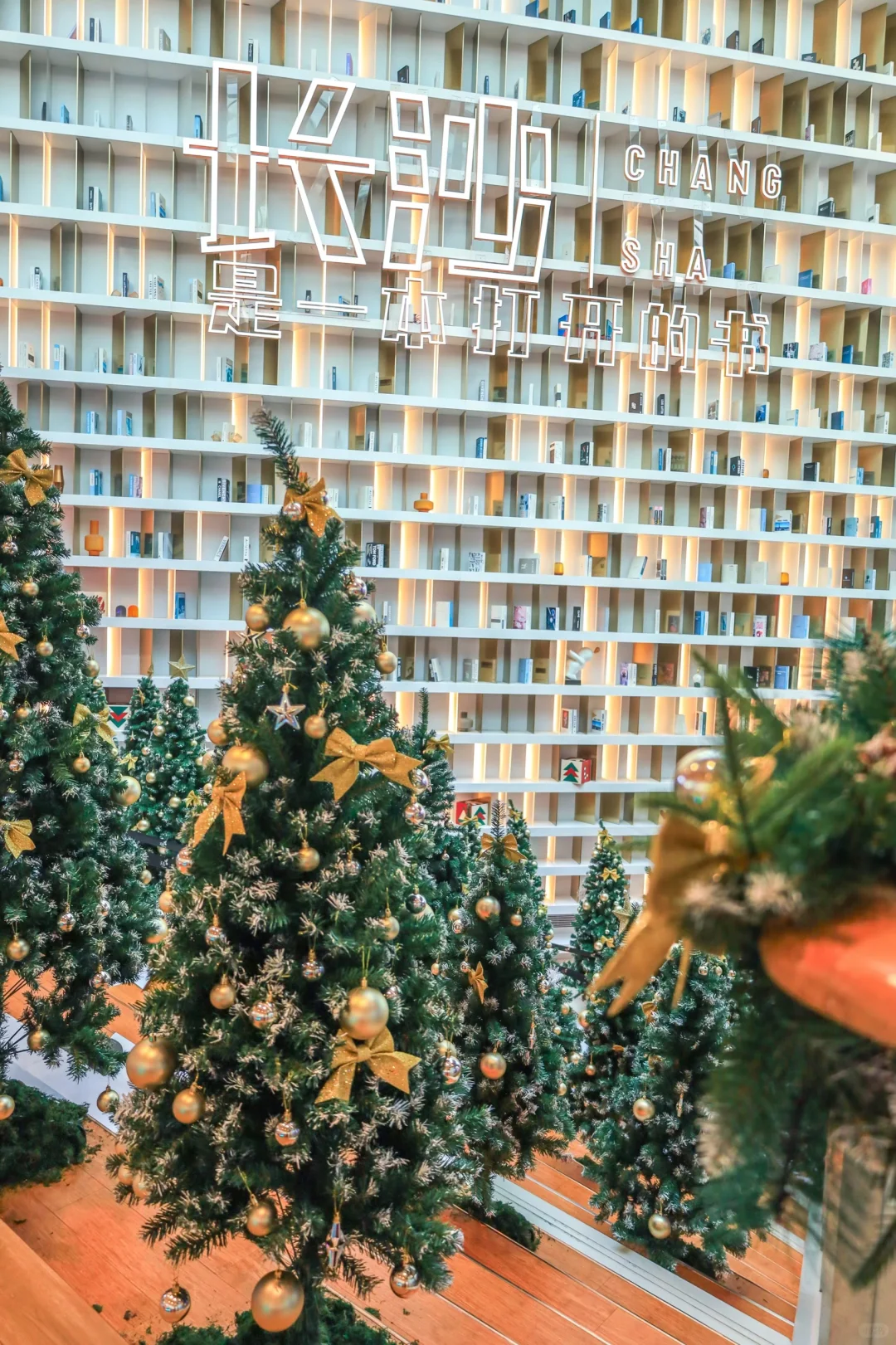 长沙圣诞氛围已拉满🎄人少免费拍不够📷