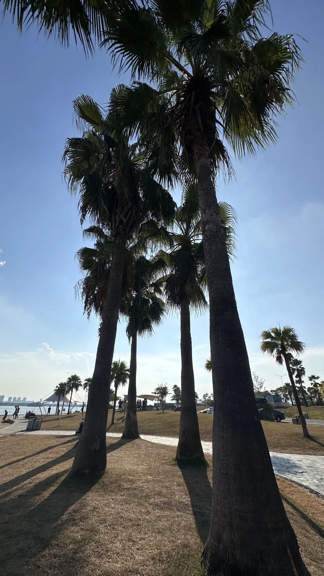 为什么都说常德宜居😎😎😎😎