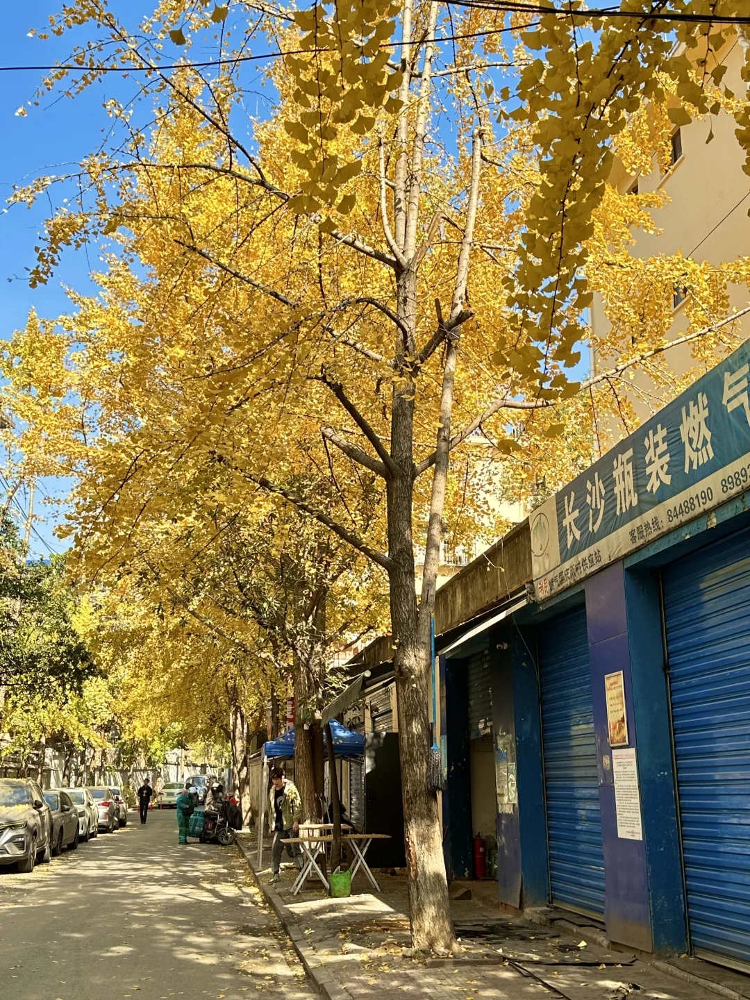 接下来的长沙，比想象中的还要美（附打卡攻略