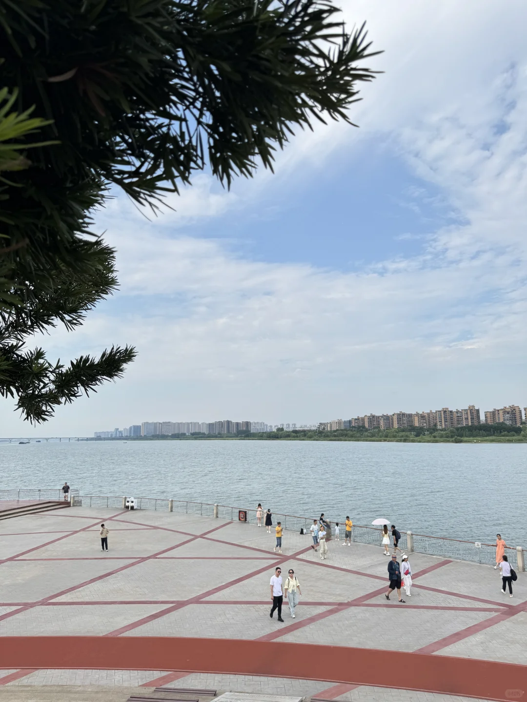 长沙已回！🍊橘子洲避坑指南