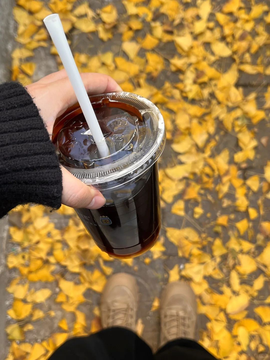 长沙！！老舍笔下的秋！！！