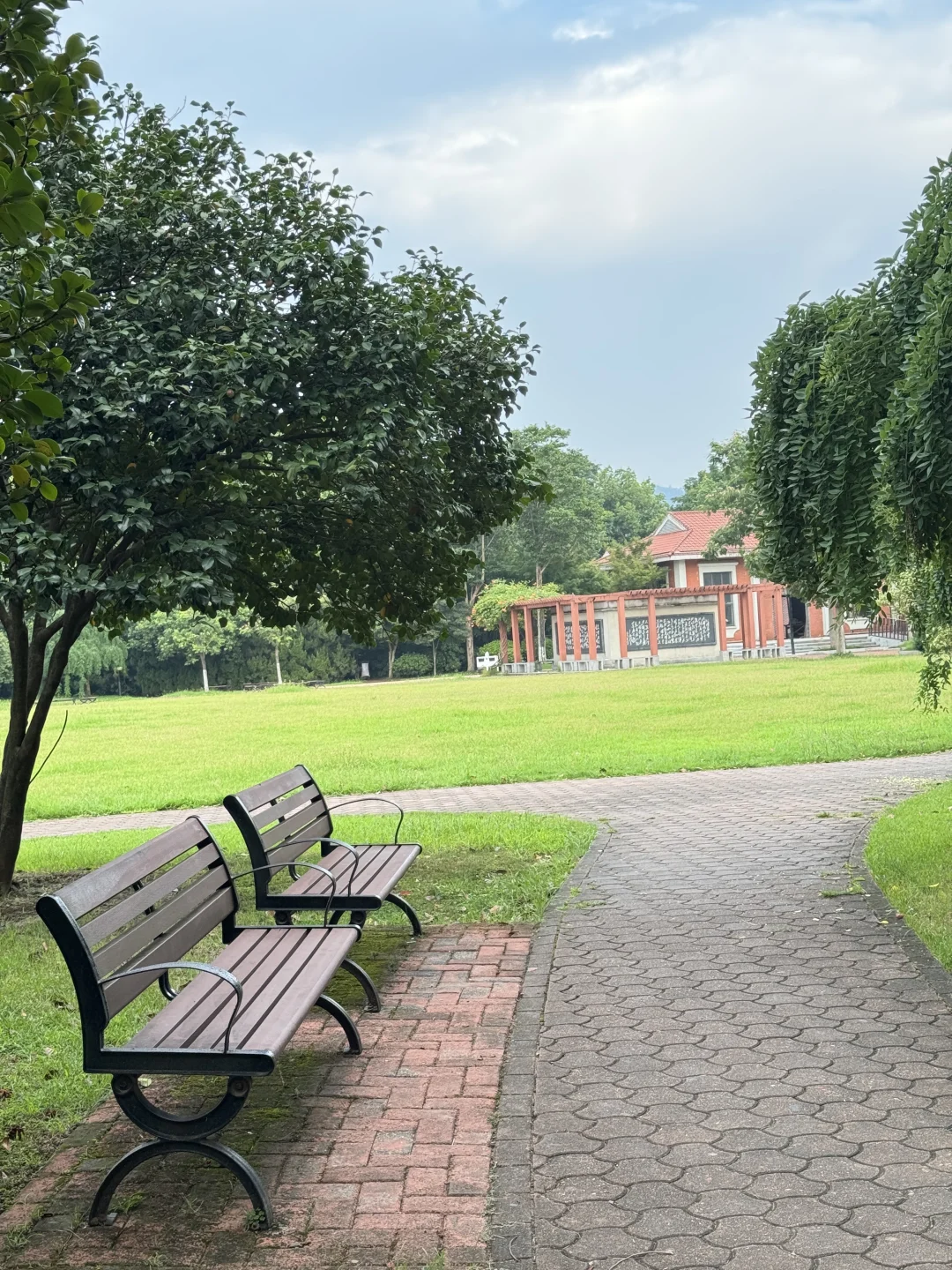 长沙已回！🍊橘子洲避坑指南