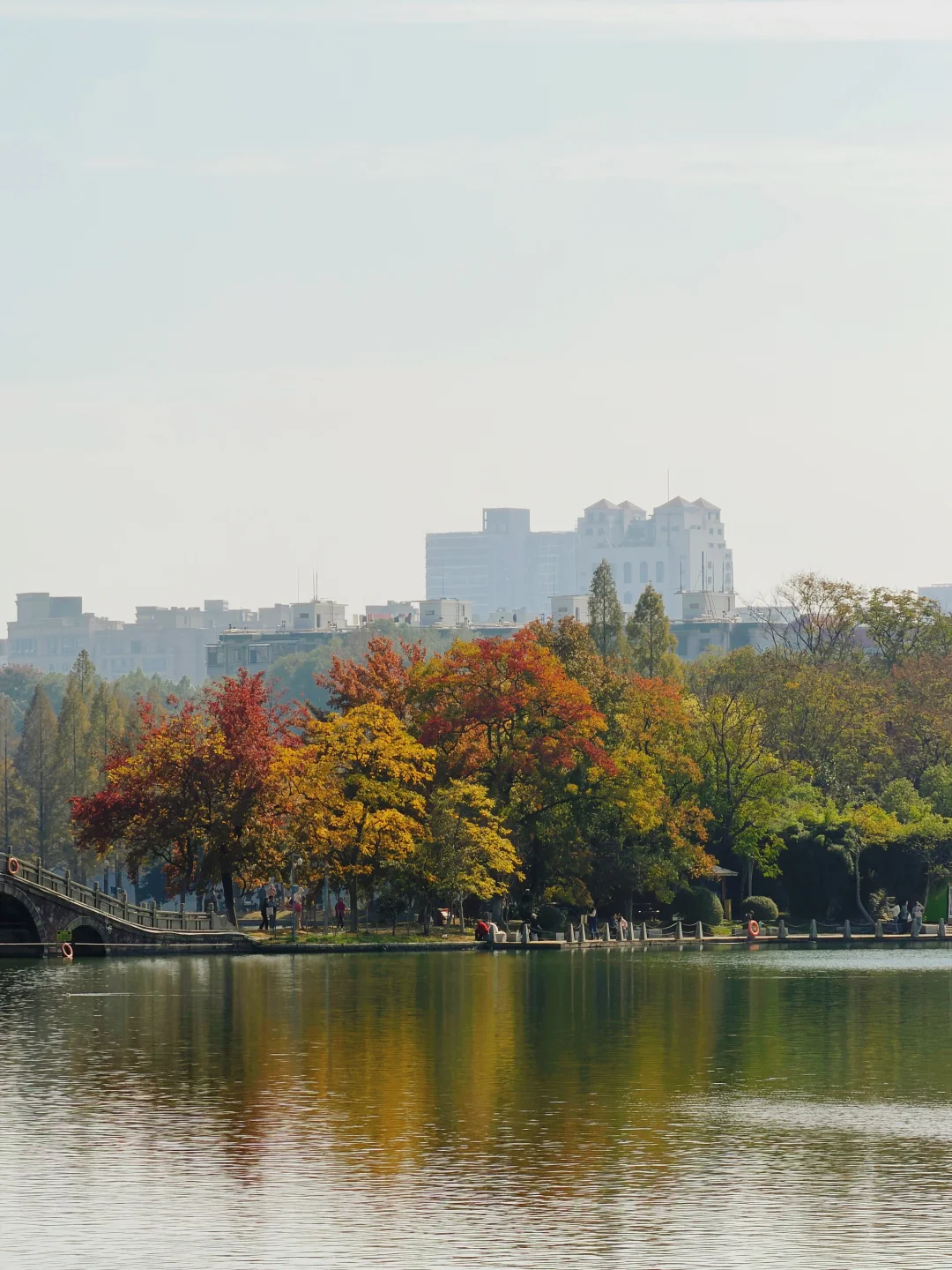 11.14实况！长沙的秋天简直美绝了～