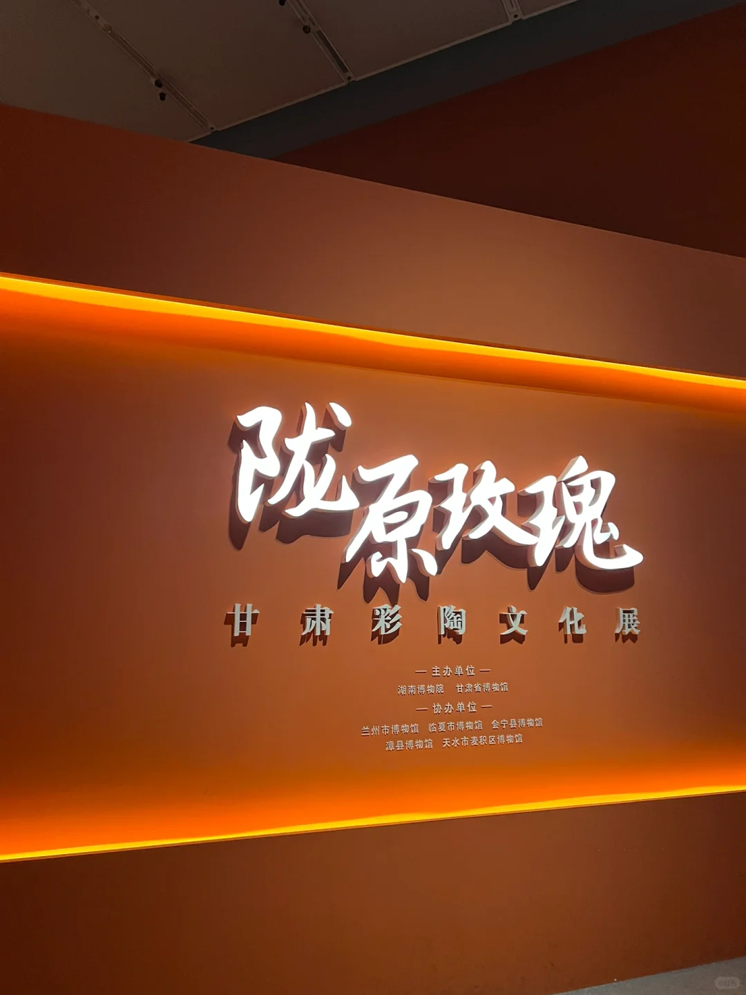 想你的風還是吹到了長沙🍃