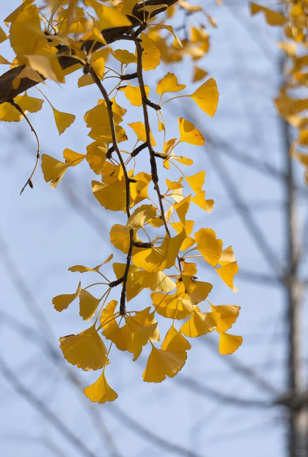 本地人私藏后花园，外地游客必打卡文化地标