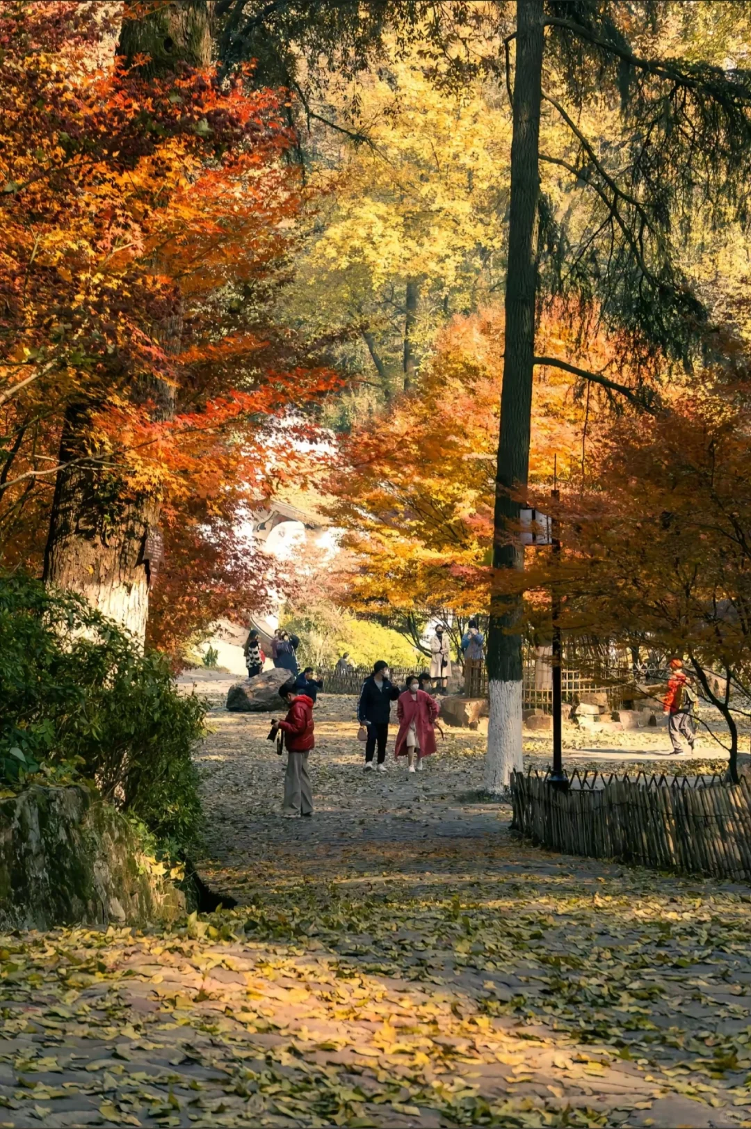 本地人私藏后花园，外地游客必打卡文化地标