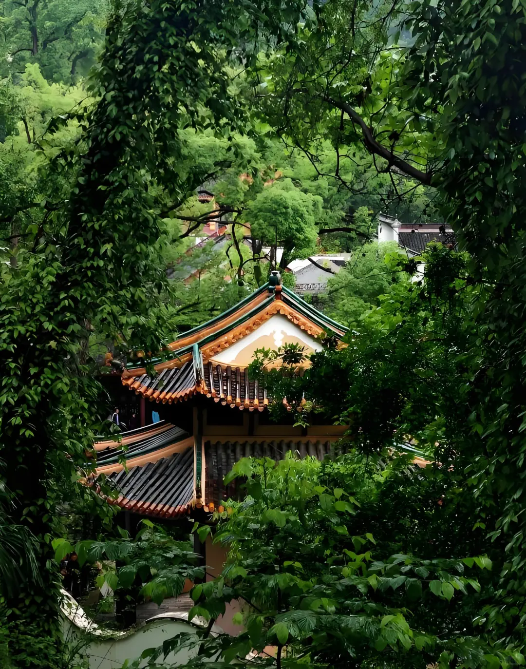 🌶️长沙 | 一场超松弛的火辣之旅来啦