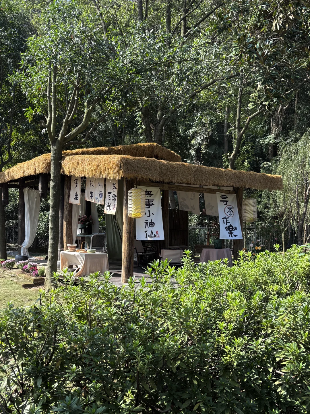 常德周末好去处🌳森林里的艺术疗愈空间！！
