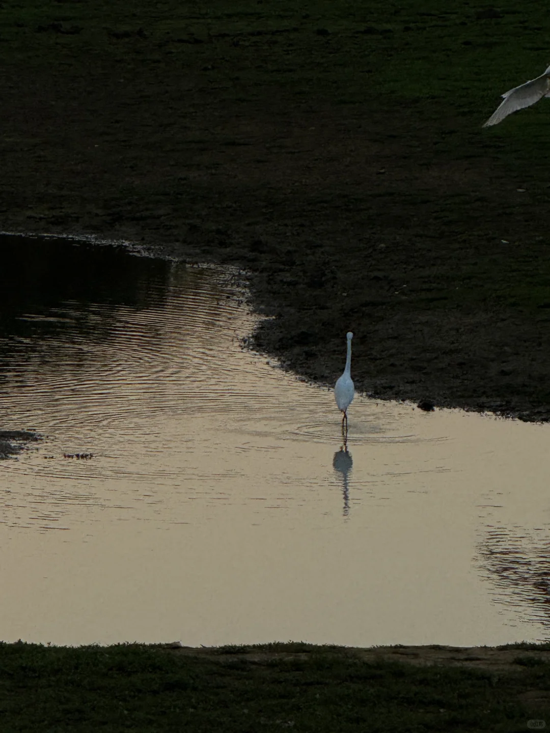 长沙阿勒泰，你藏得好深……