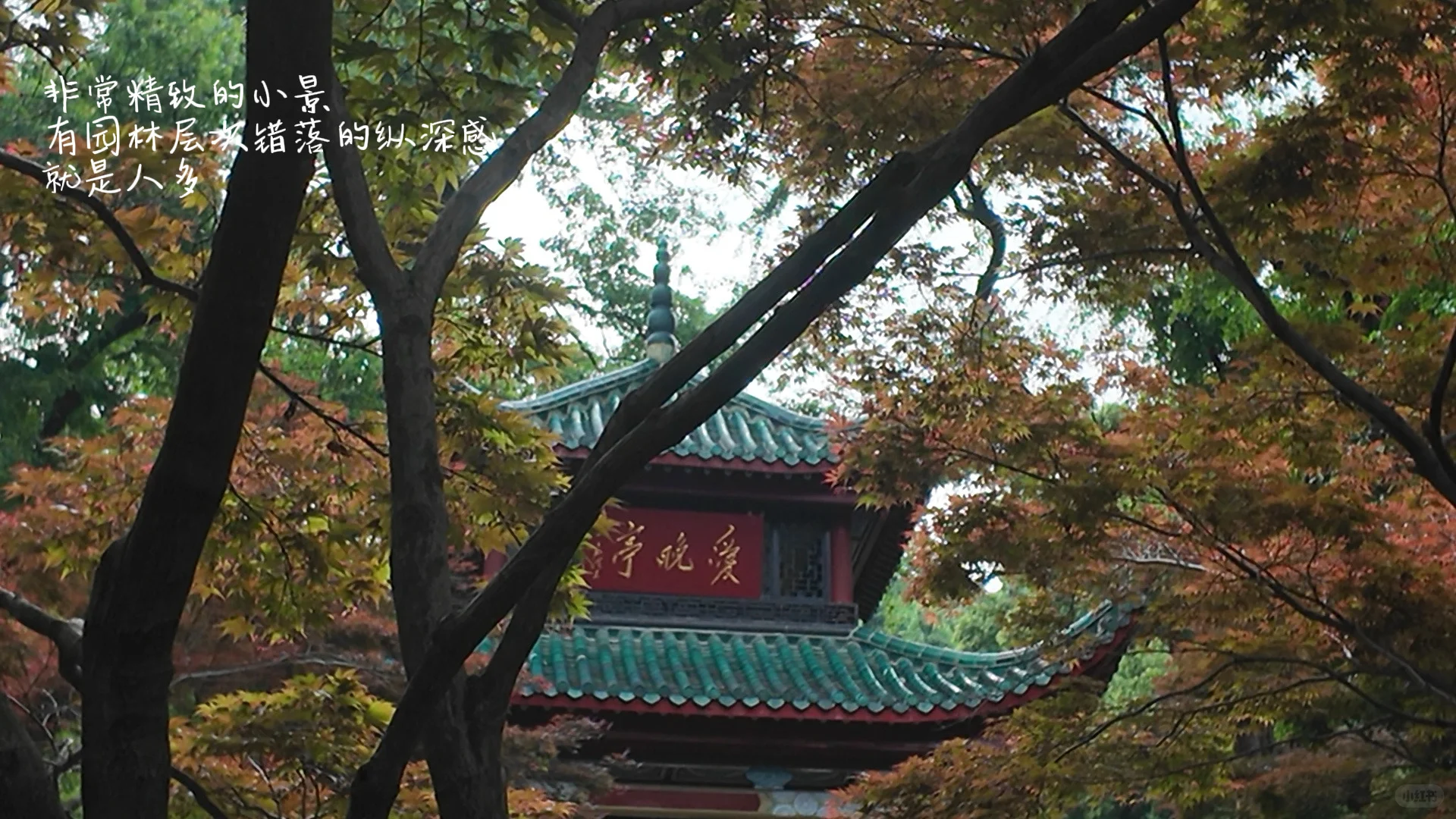 长沙72小时｜3天2晚吃喝玩一站式笔记📝