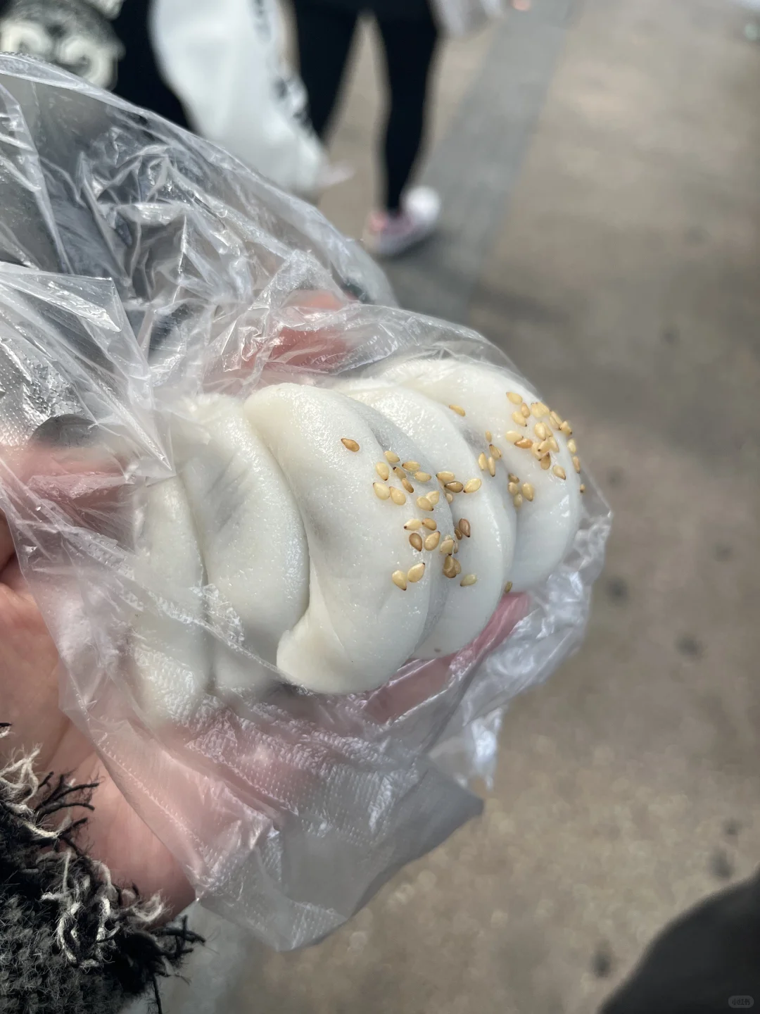 秋假第二天，橘子洲、岳麓山