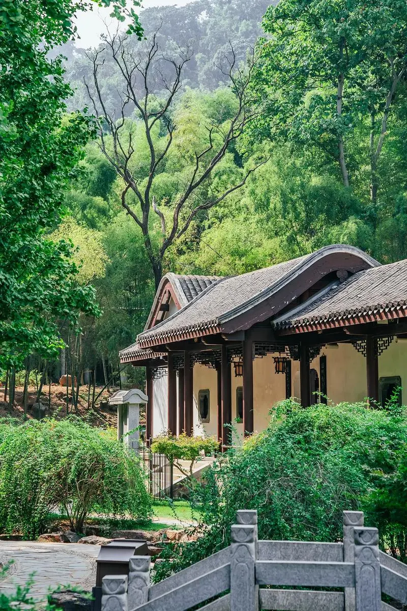 🌶️长沙 | 一场超松弛的火辣之旅来啦