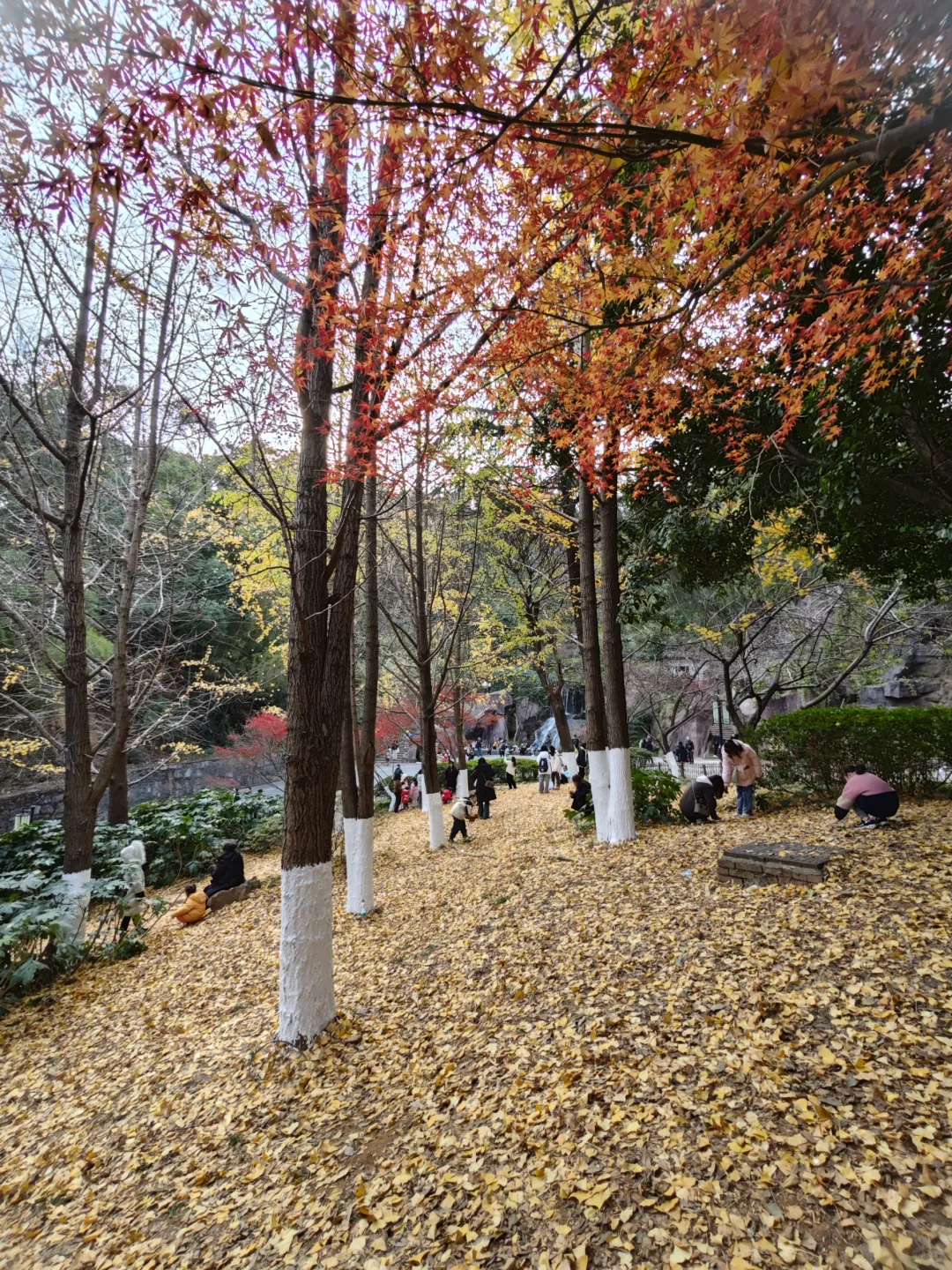 为了这18张live图我去了趟长沙...