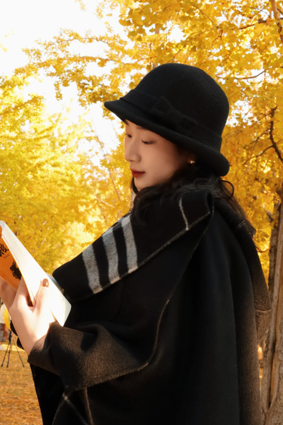 后滑看常德除了银杏还有什么？