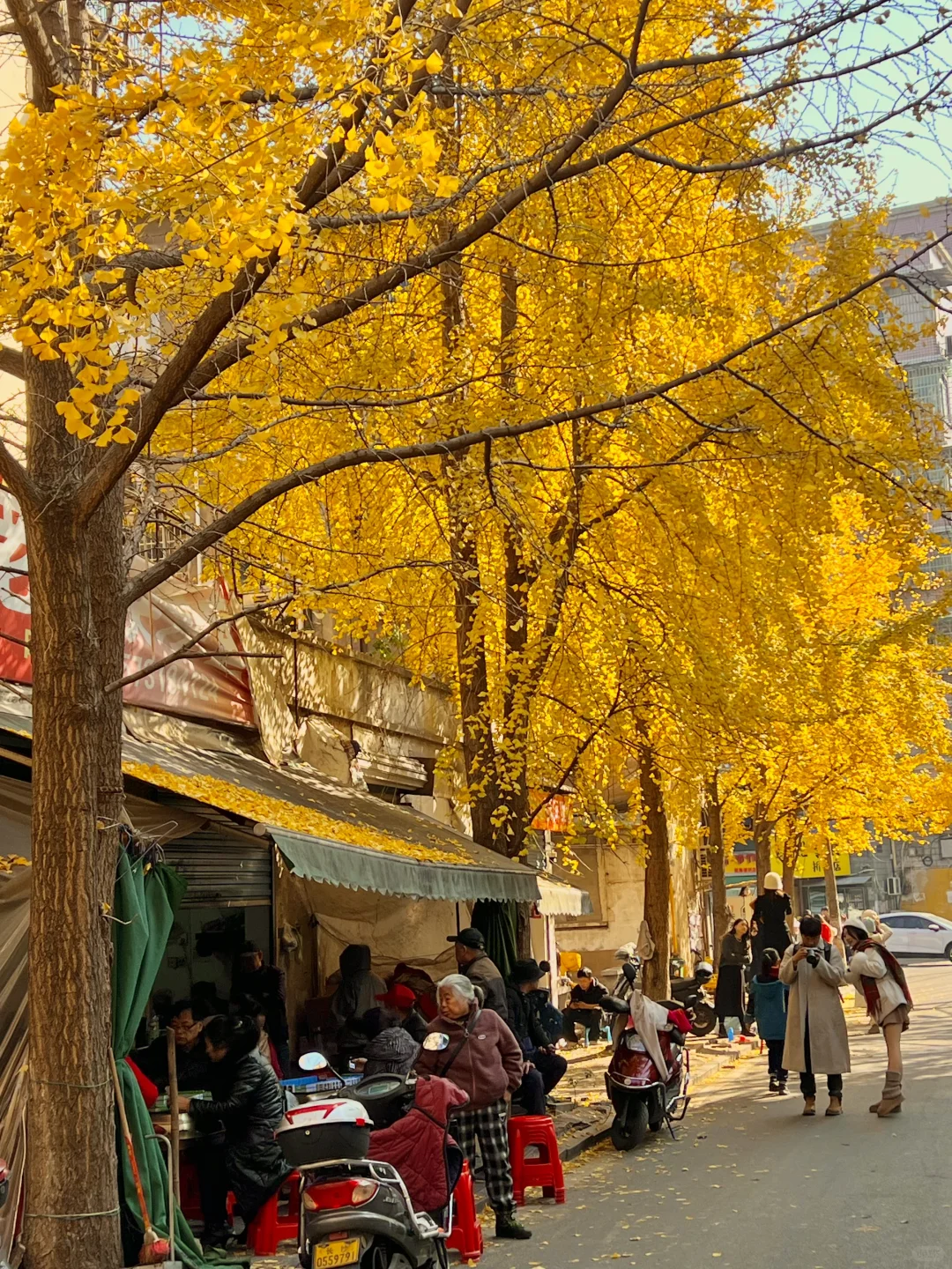 长沙！！老舍笔下的秋！！！