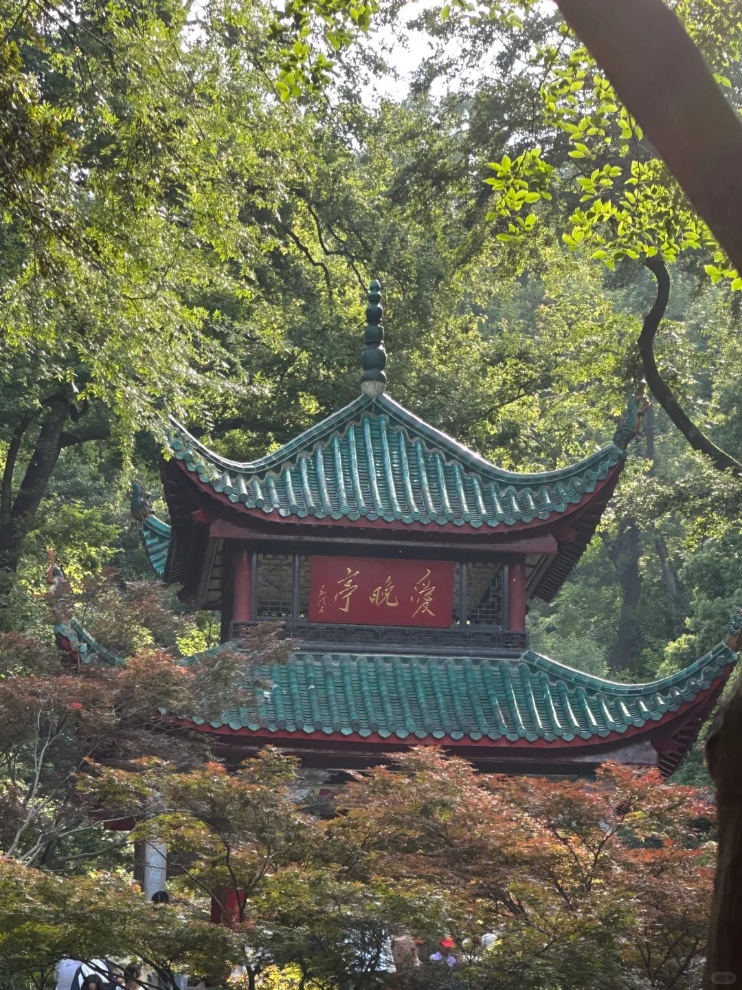 去长沙就为了这16张live图！