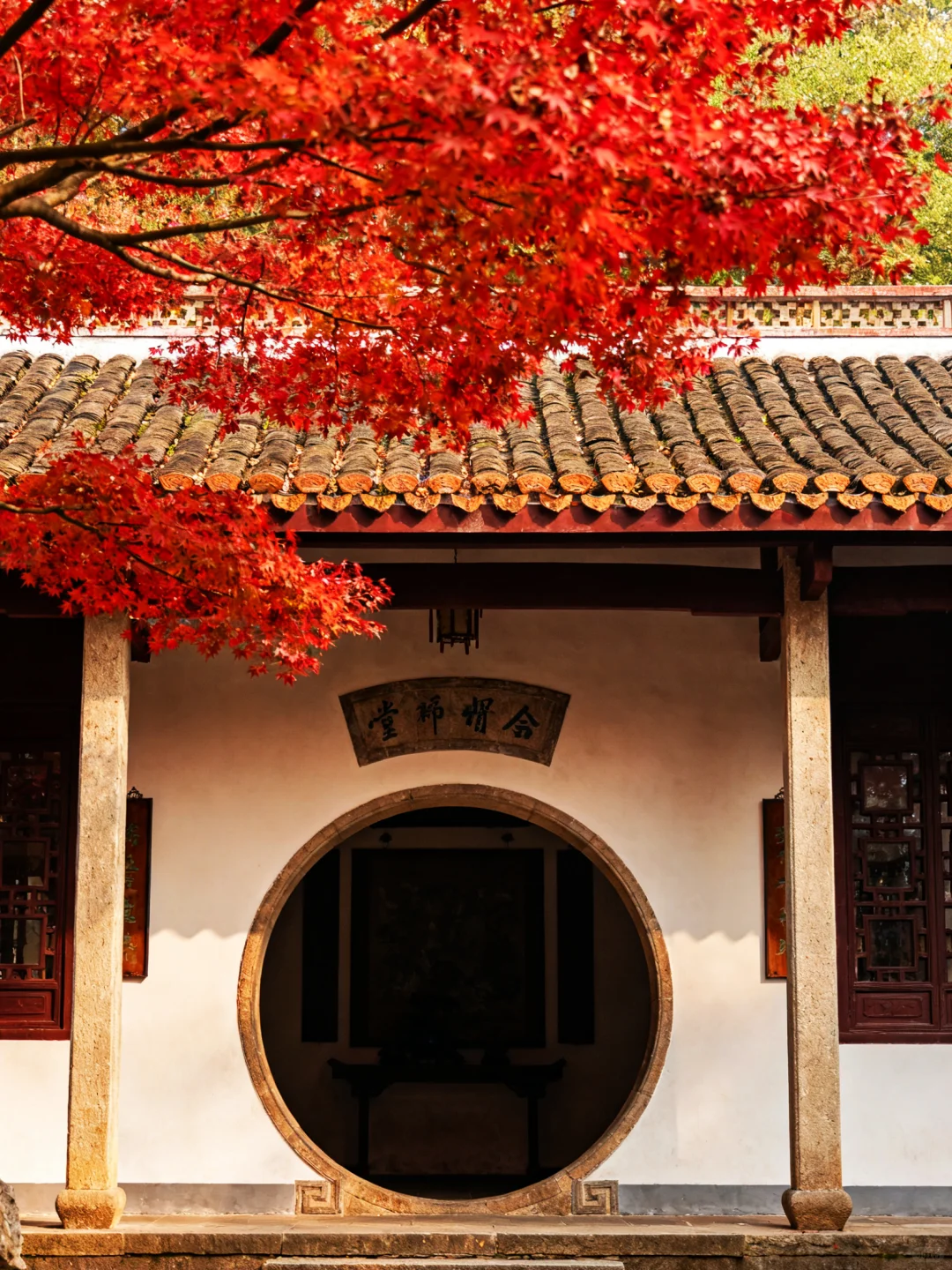 岳麓山的枫叶红了，长沙独有的秋天浪漫！