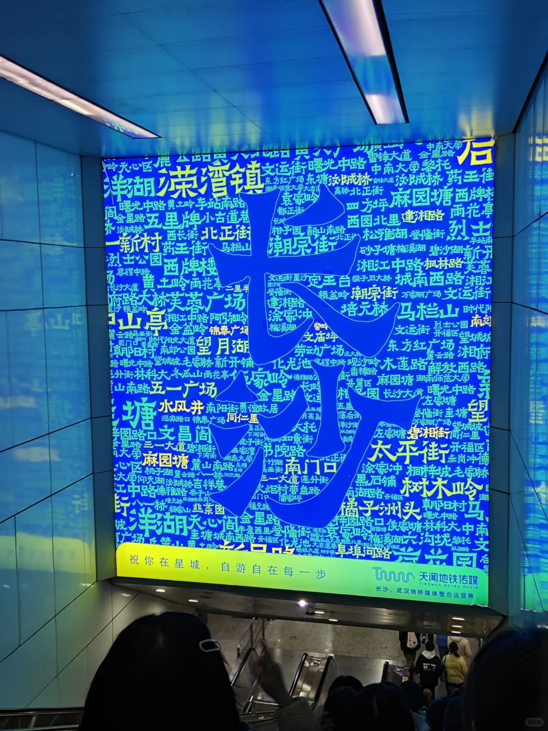 为了这18张live图我去了趟长沙...