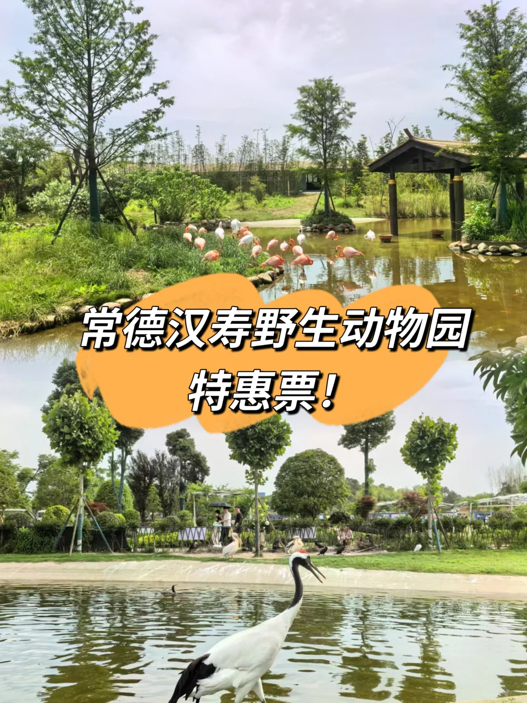 常德汉寿野生动物园拼好价