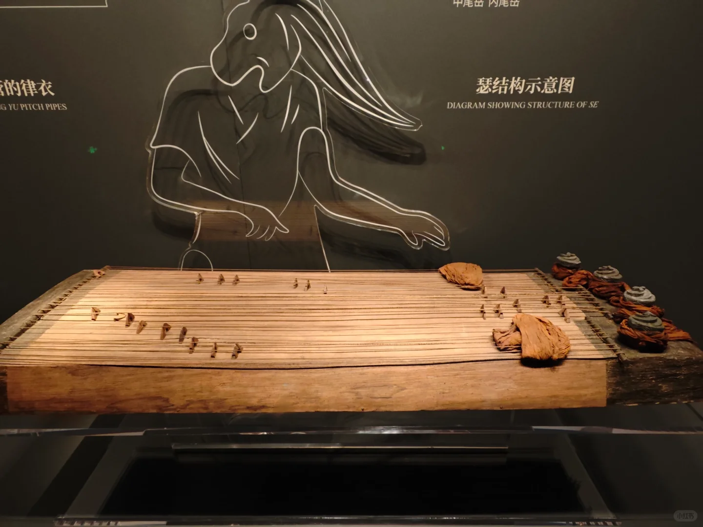 忍着恐惧还是去看了一眼辛追夫人‼️㊙️