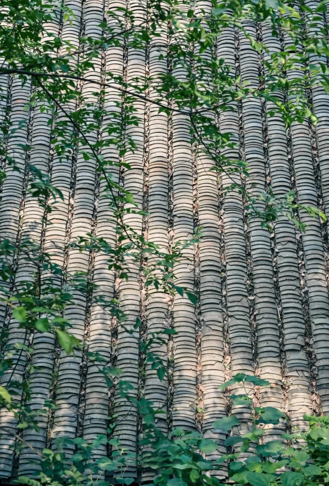 本地人私藏后花园，外地游客必打卡文化地标