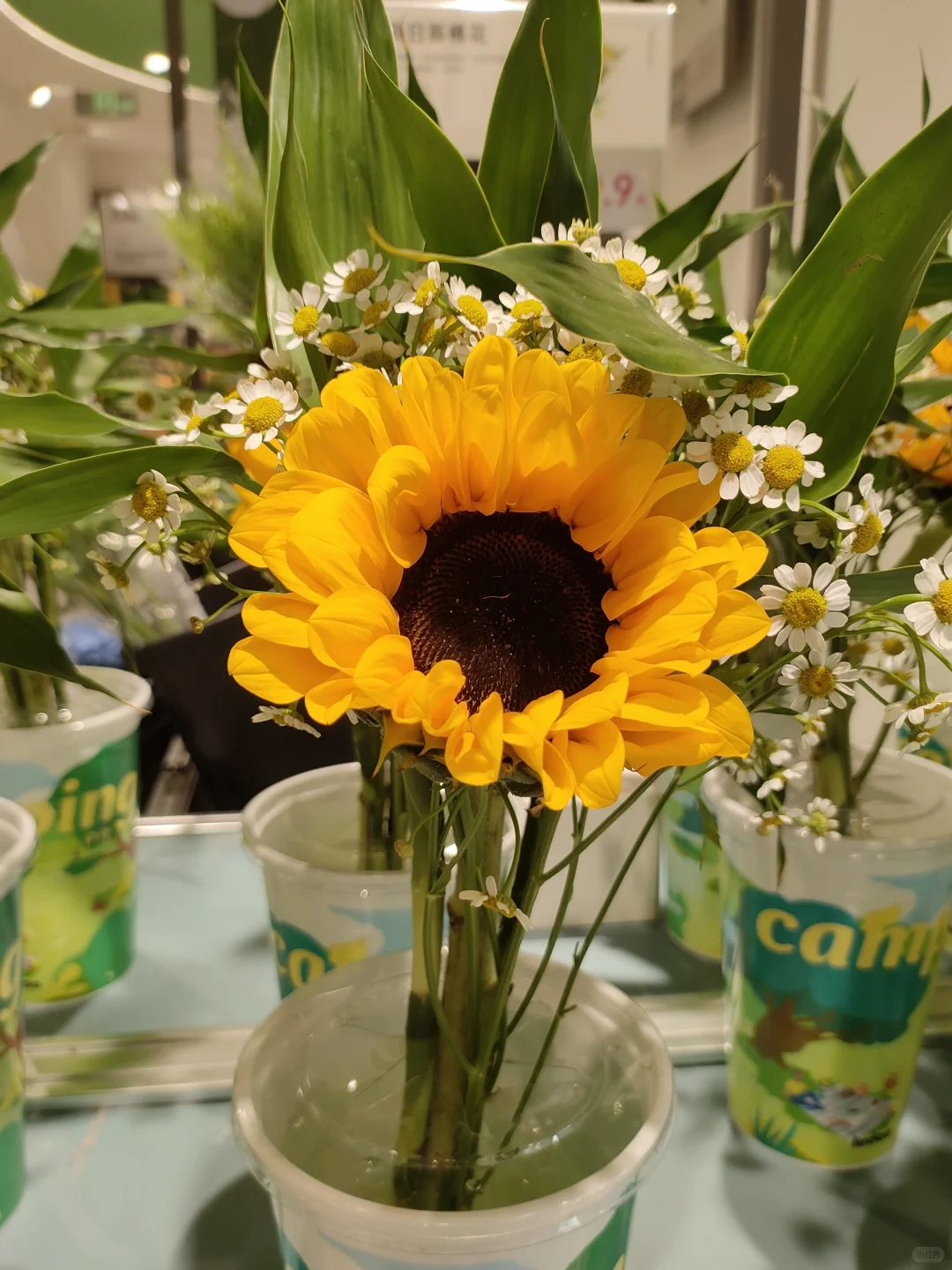 我们来交换游客照