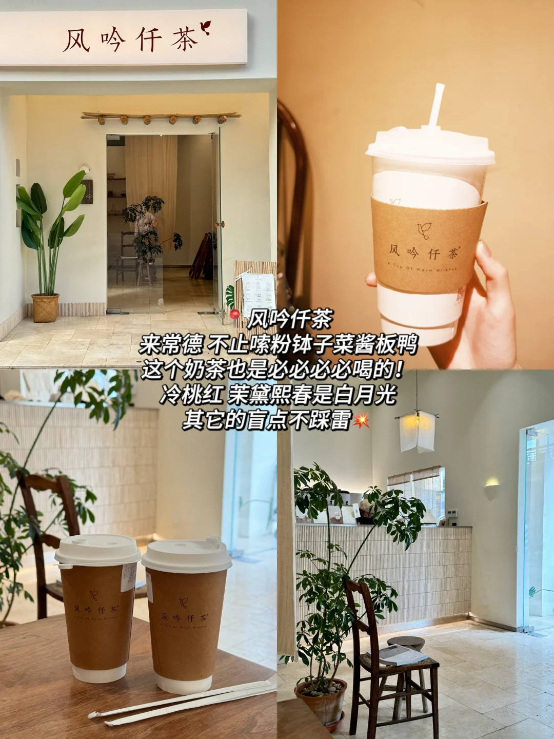 常德纯吃攻略｜3天16顿‼️❗️