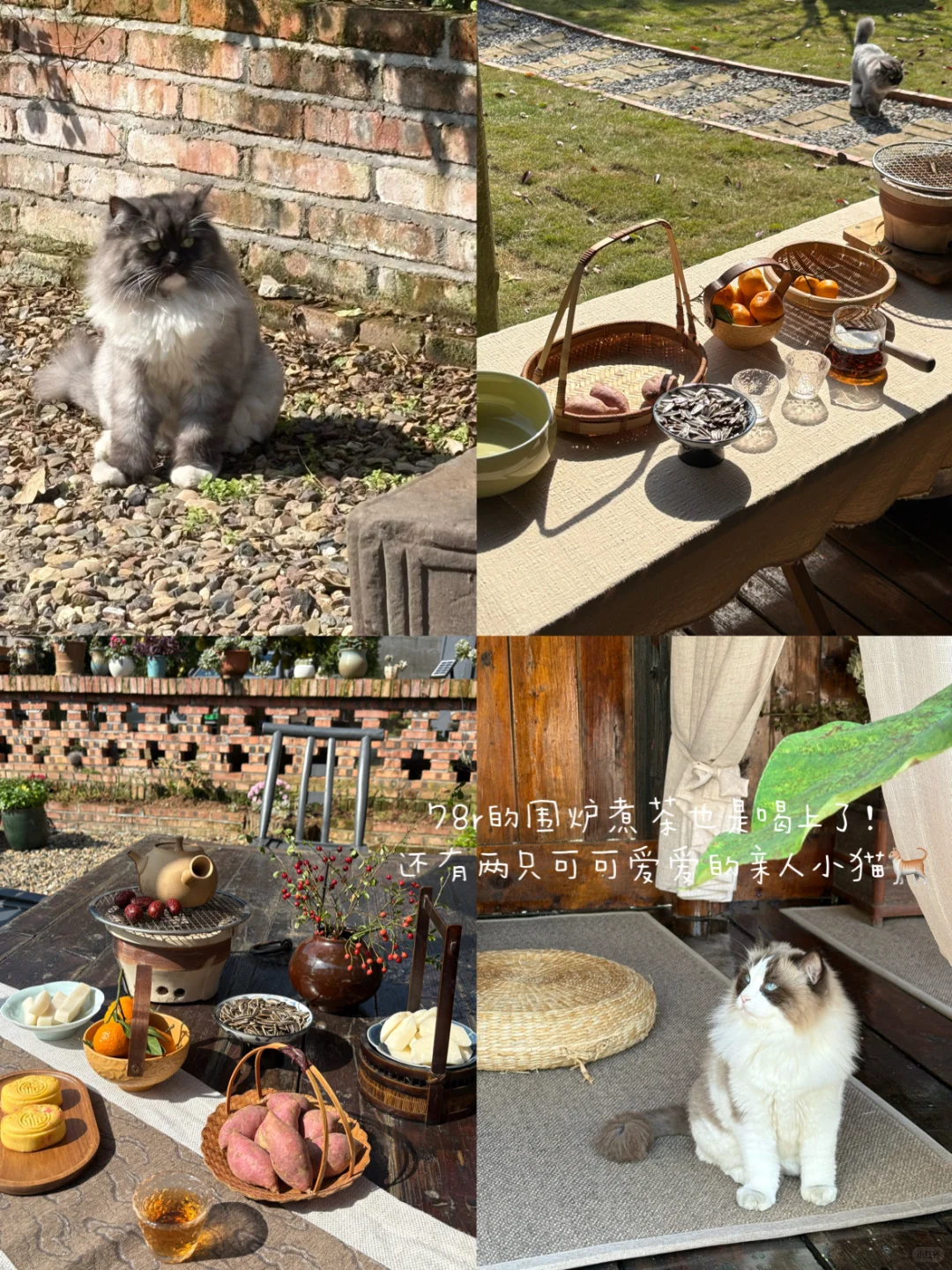 常德周末好去处🌳森林里的艺术疗愈空间！！