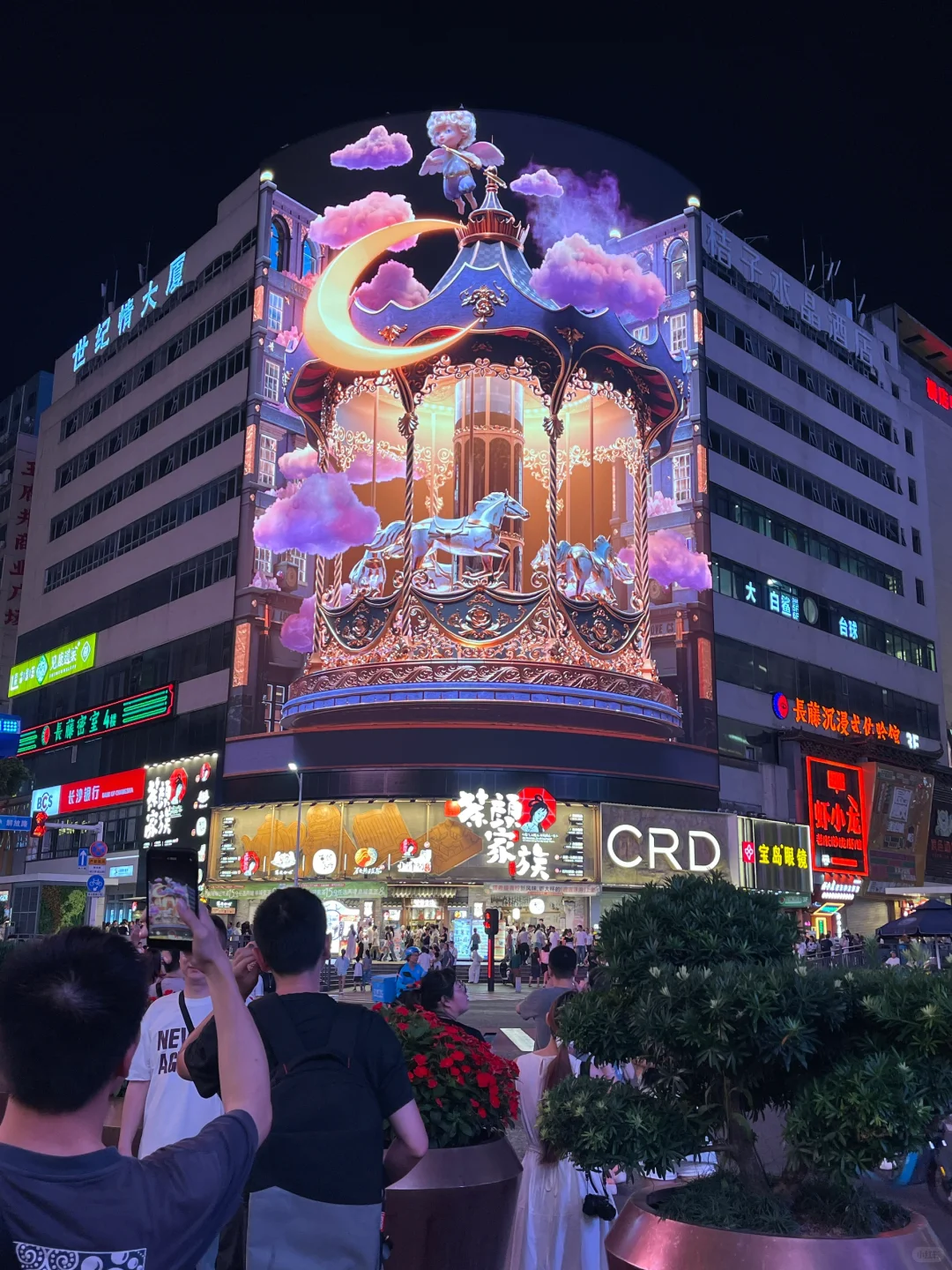 交换长沙旅行照片