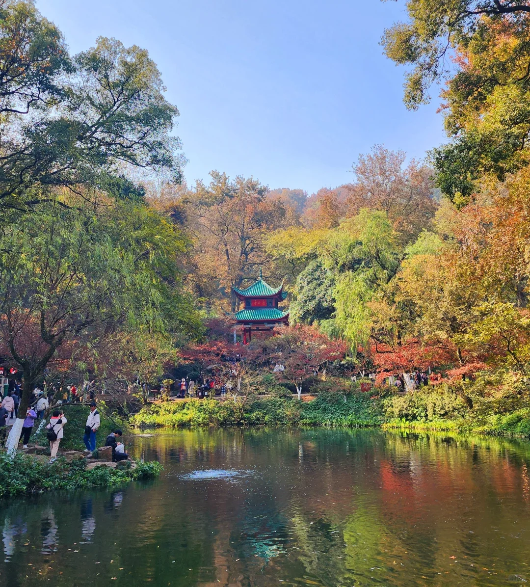 岳麓山｜枫叶季来了！来看长沙的秋日油画