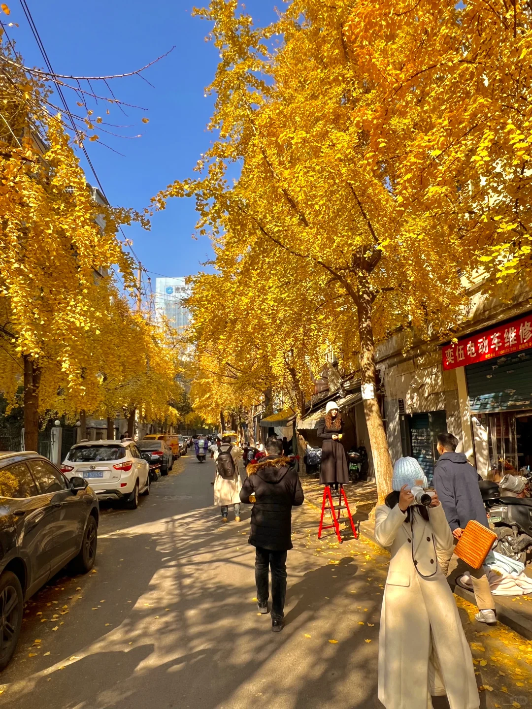 长沙！！老舍笔下的秋！！！