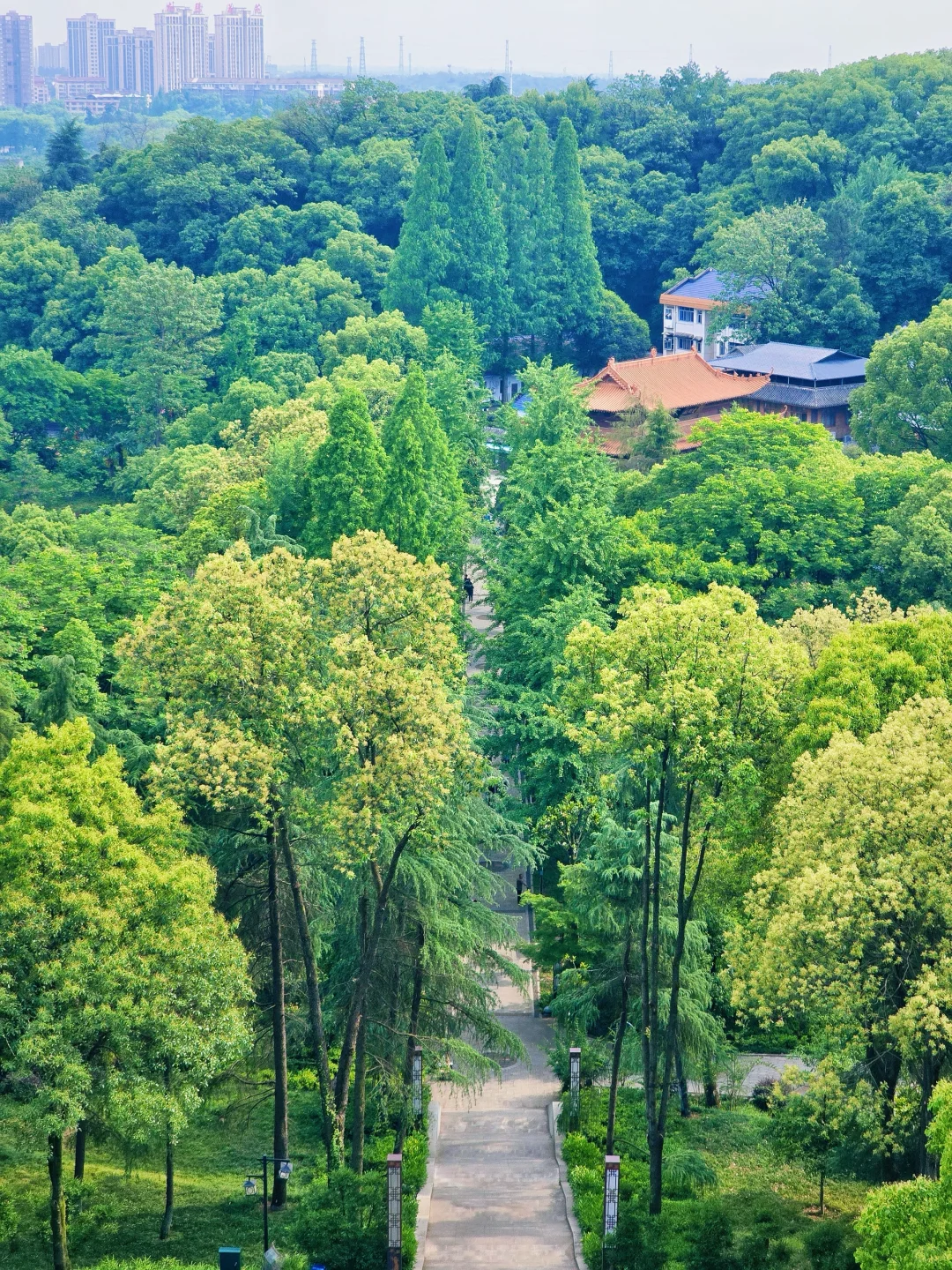 常德｜在好朋友的家乡做快乐的大人🌿