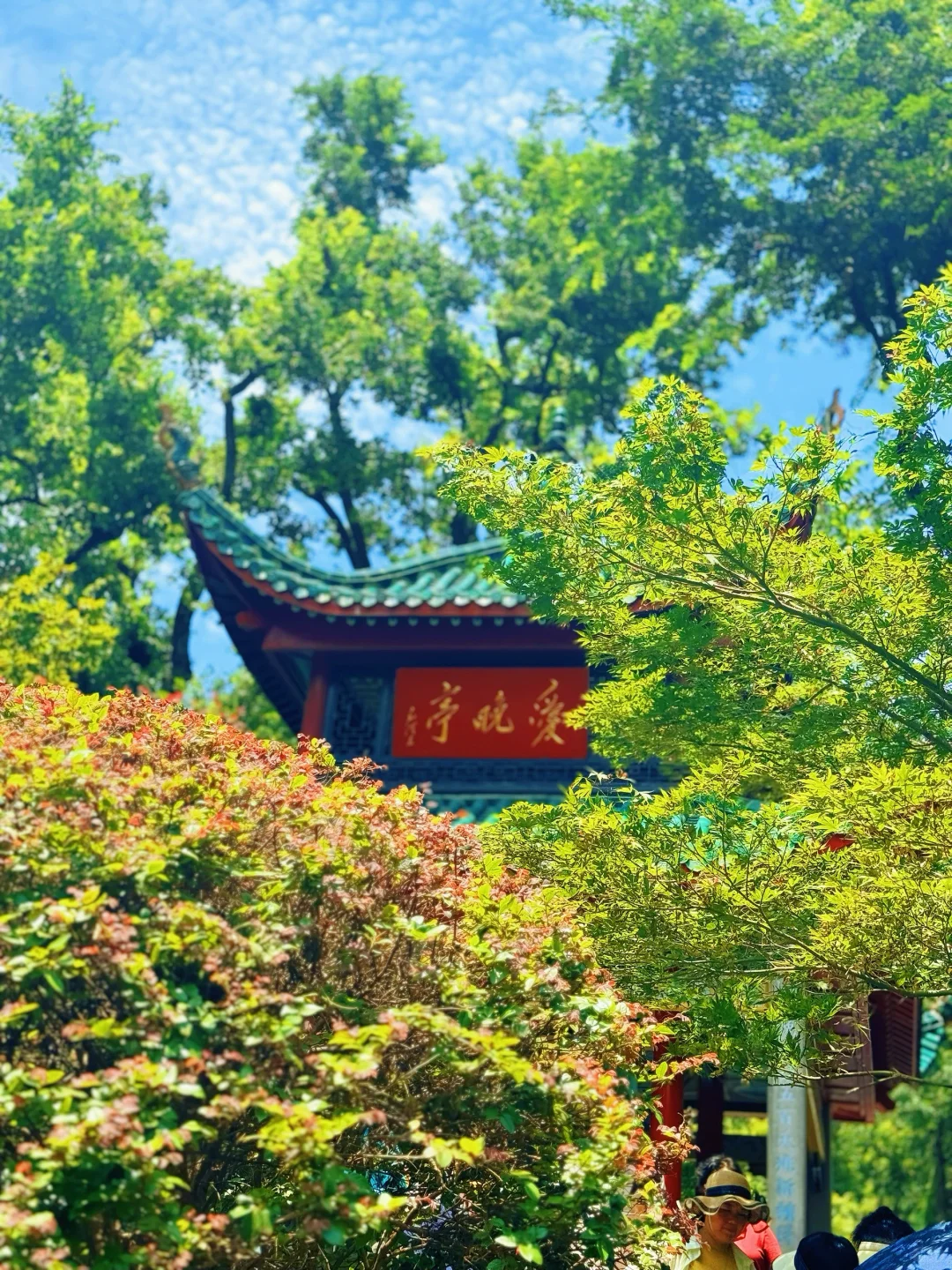 湖南长沙-凤凰古城-张家界7天6晚的旅游攻略