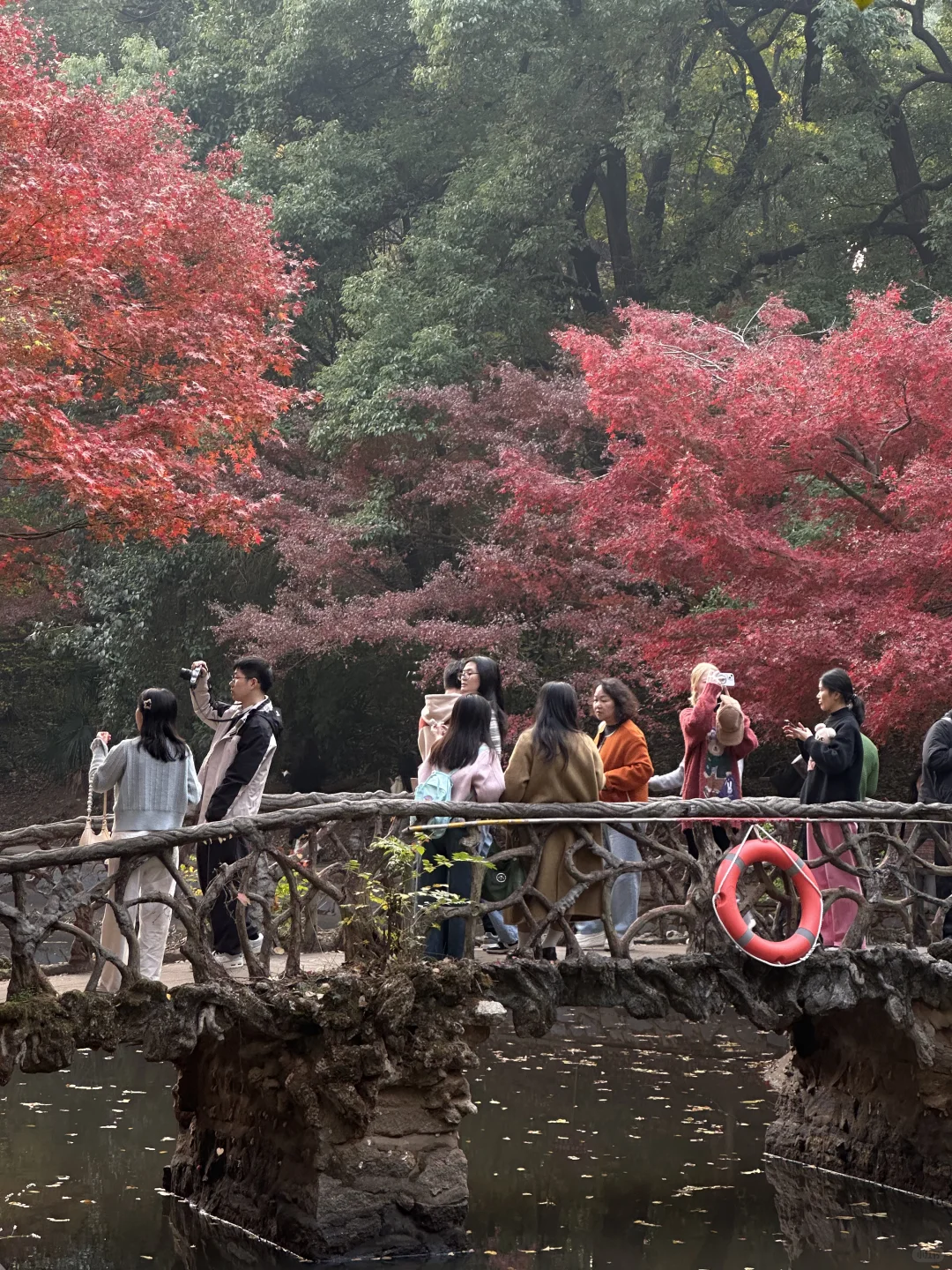 接下来的长沙，比想象中的还要美（附打卡攻略