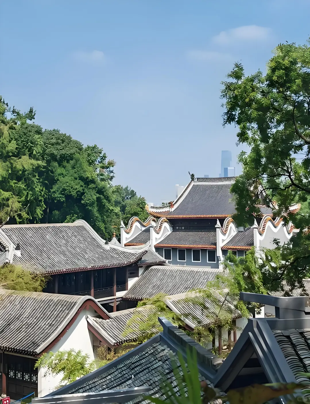 🌶️长沙 | 一场超松弛的火辣之旅来啦