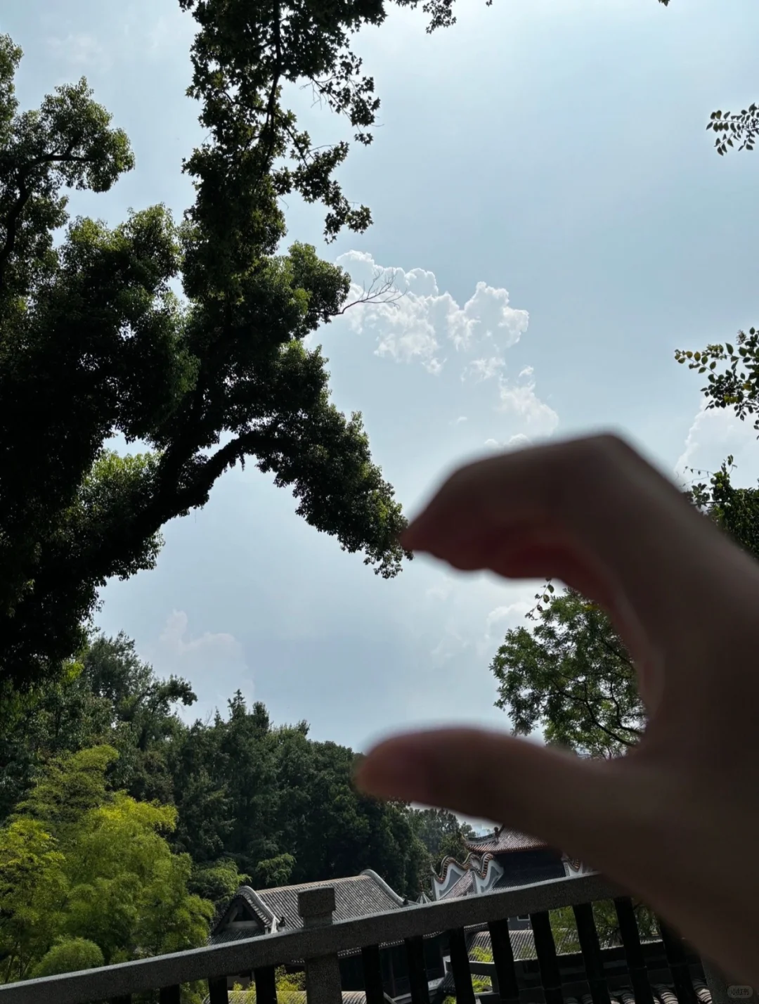 本地人私藏后花园，外地游客必打卡文化地标