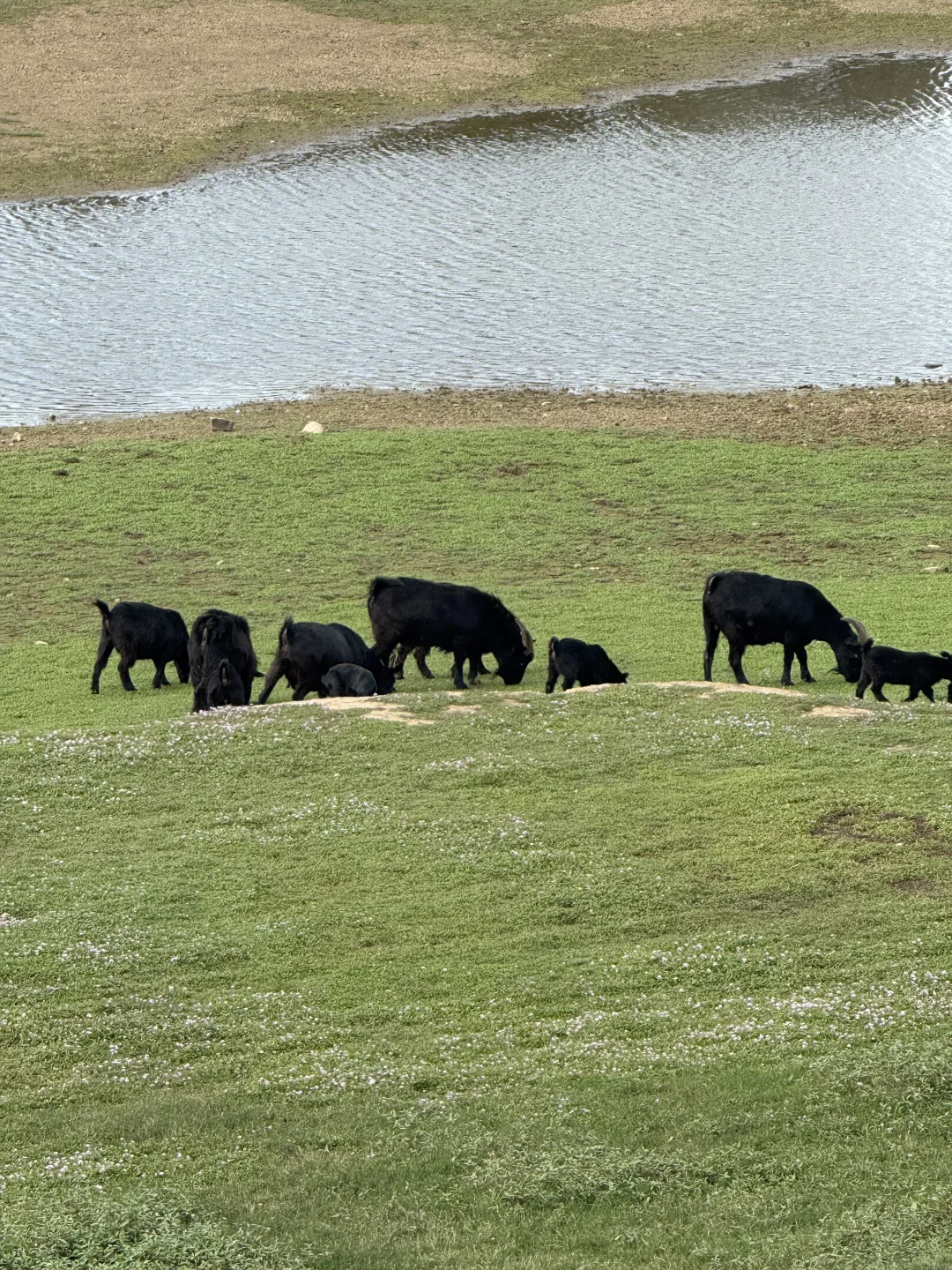 长沙阿勒泰，你藏得好深……