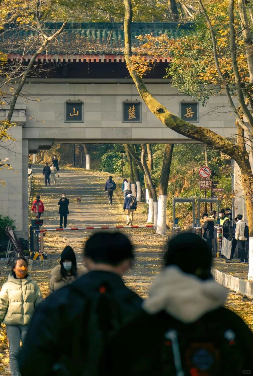 本地人私藏后花园，外地游客必打卡文化地标
