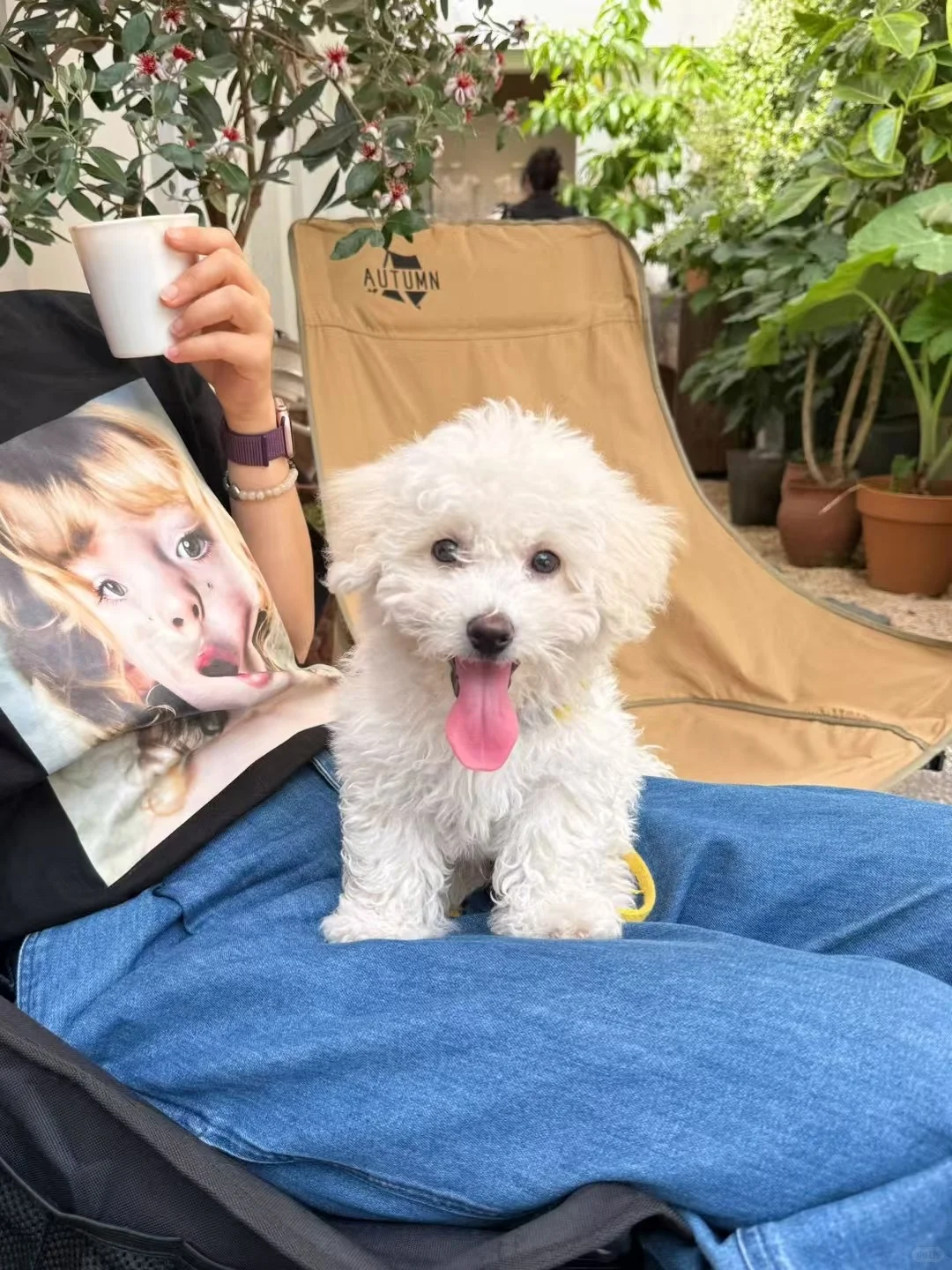 常德｜在好朋友的家乡做快乐的大人🌿