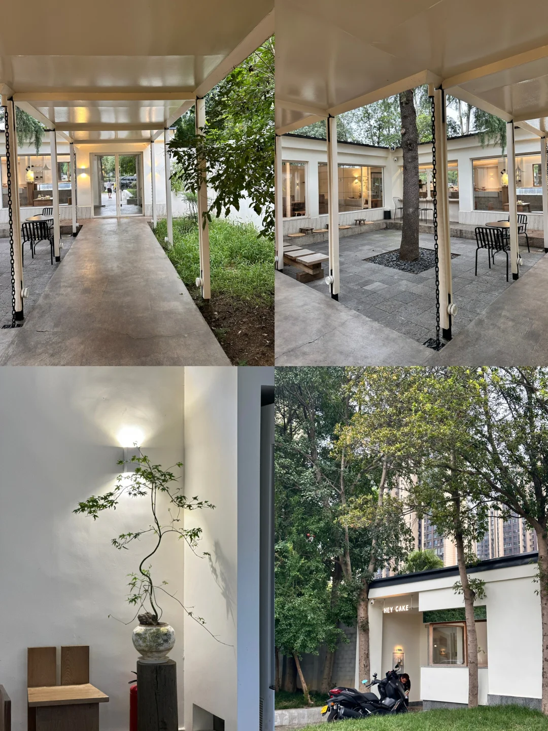 常德刚回！吐🩸整理出来的超全攻略，非常全❗️