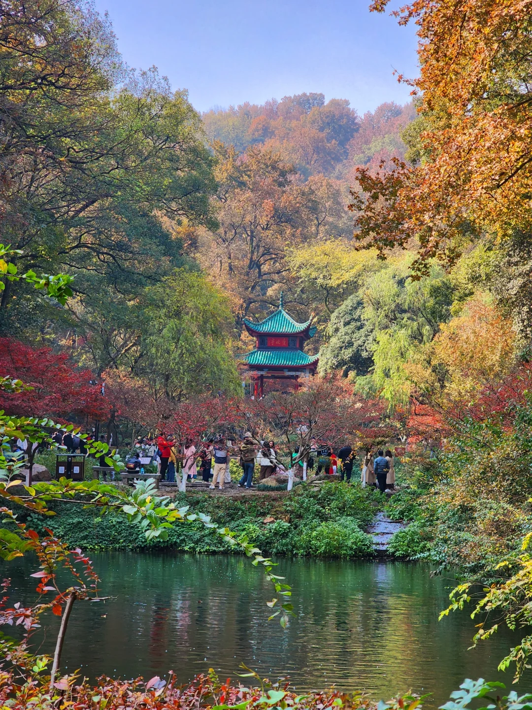 岳麓山｜枫叶季来了！来看长沙的秋日油画