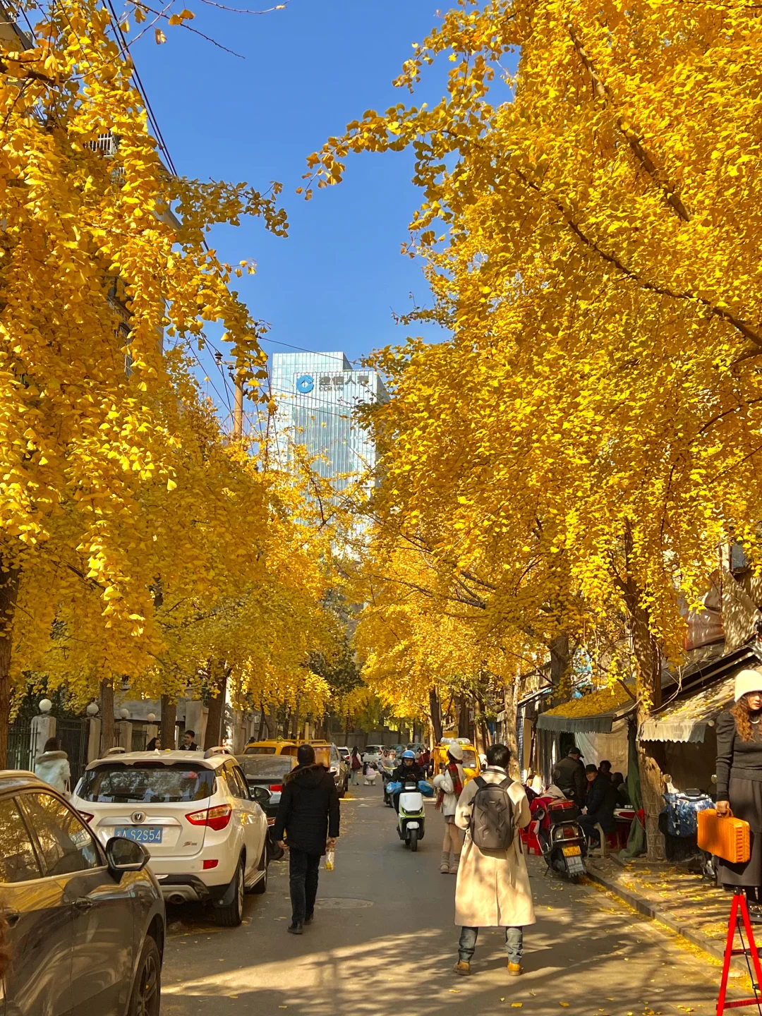 长沙！！老舍笔下的秋！！！