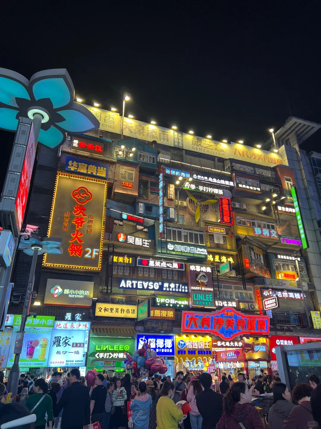 想你的風還是吹到了長沙🍃