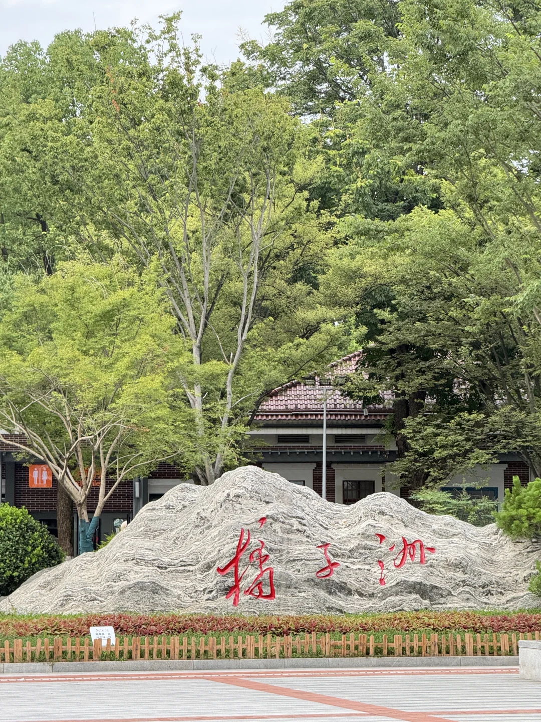 长沙已回！🍊橘子洲避坑指南